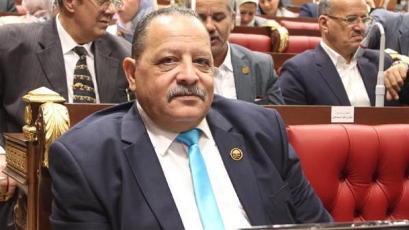 أحمد شعبان: نحتاج إلى تشريعات واقعية تُراعي المواطن.. ومجلس الشيوخ ليس للوجاهة