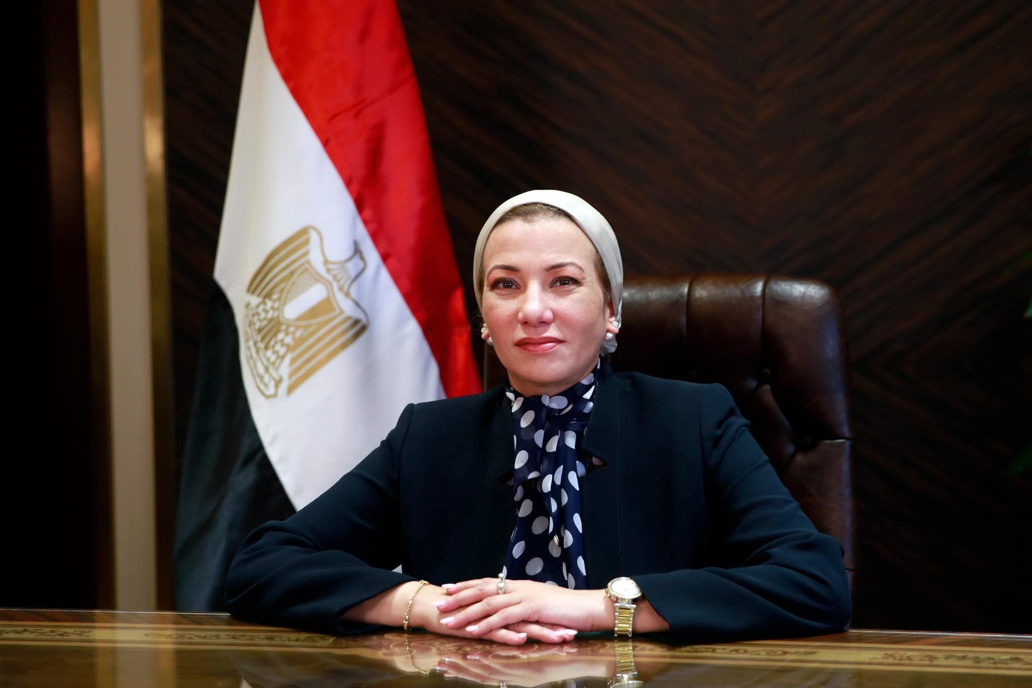 من المناصب التنفيذية إلى الساحة الدولية.. تصدير الكفاءات المصرية إلى العالم