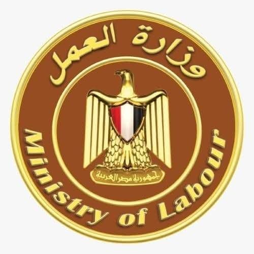 وزارة العمل تفتش على 1663 منشأة خلال 6 أيام وتحرر 250 محضرًا لمخالفات الحد الأدنى للأجور