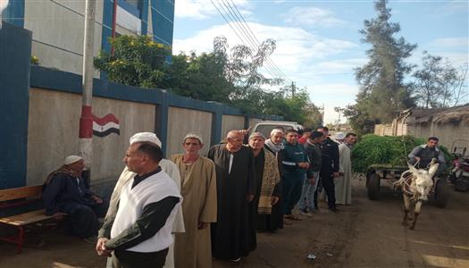 إقبال كثيف على لجان جولة الإعادة لانتخابات مجلس النواب في قرى البحيرة