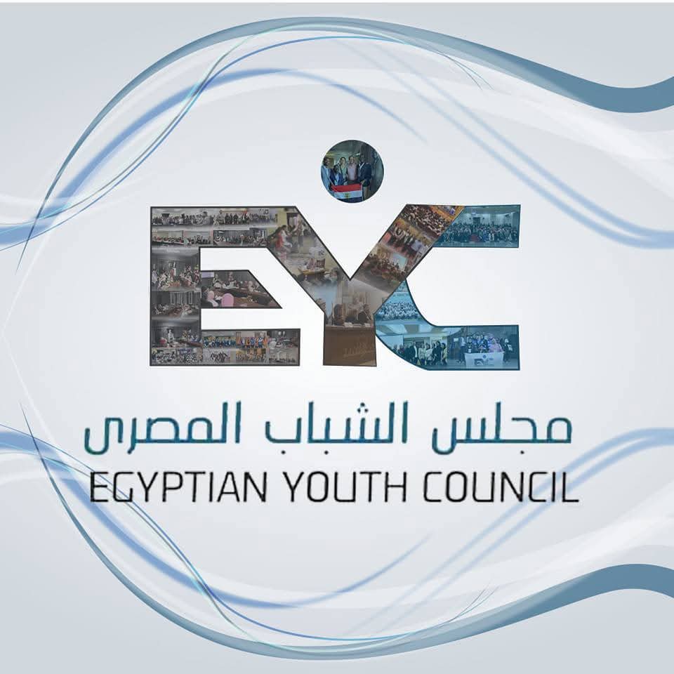مجلس الشباب المصري يصدر تقرير أولي حول الإعادة بانتخابات النواب ل١٩ دائرة ملغاة