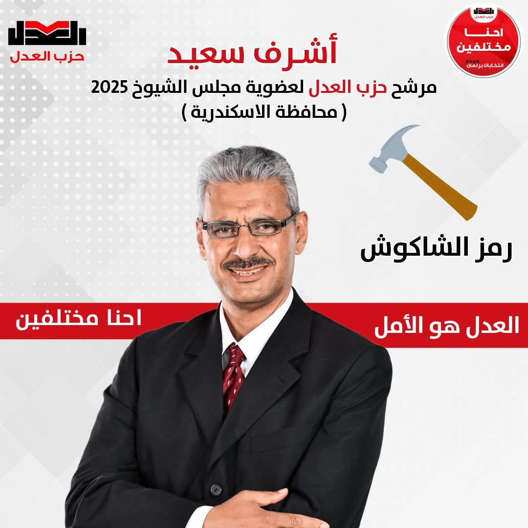 نضال يومي وتمثيل حقيقي.. أشرف رجب في مجلس الشيوخ