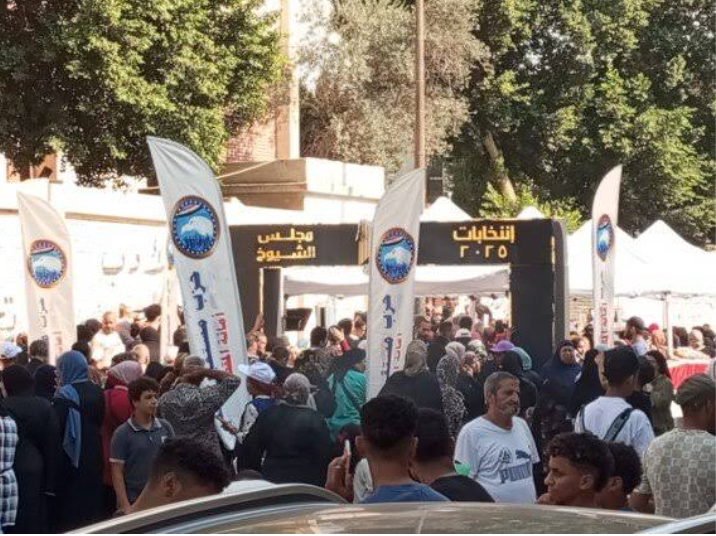 وفد جامعة الدول العربية يتفقد لجان انتخابات مجلس الشيوخ 2025 في سيدي بشر بالإسكندرية