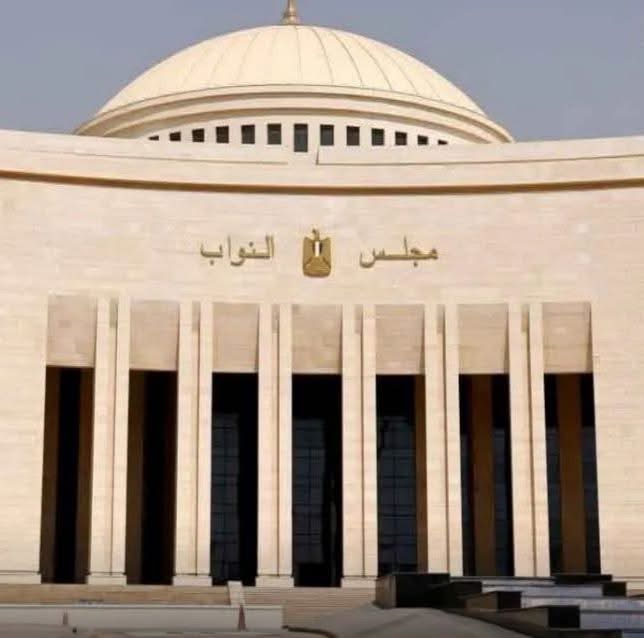 نائب برلماني: استثمارات الصحة تقود مصر لنهضة تاريخية خلال 12 عامًا