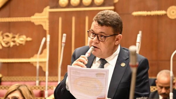 برلماني: ثورة 30 يونيو نقطة الانطلاق نحو بناء الجمهورية الجديدة