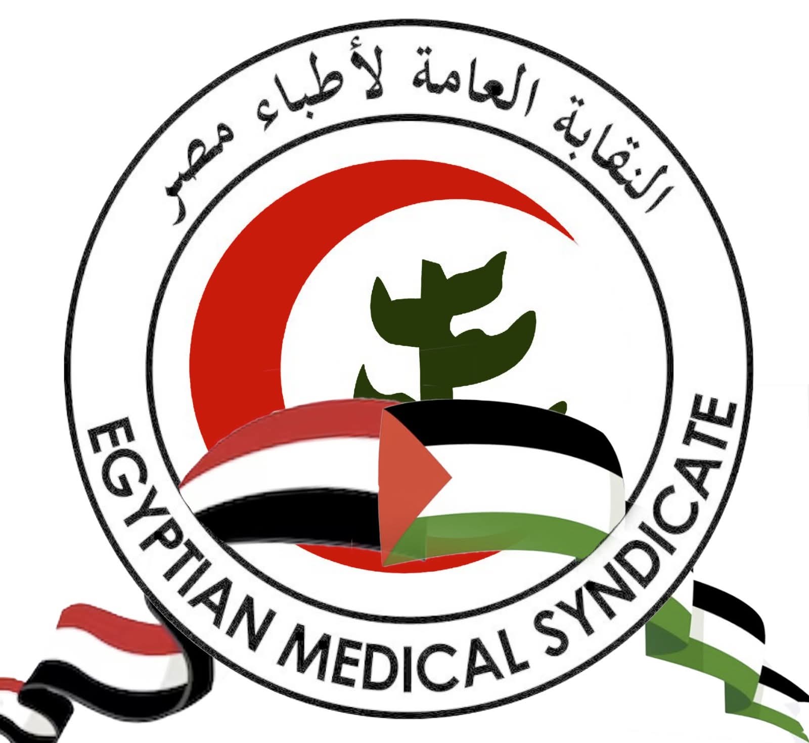 "نقابة الأطباء تحقق مع طبيب أجرى تكميم معدة لطفلة 9 سنوات"
