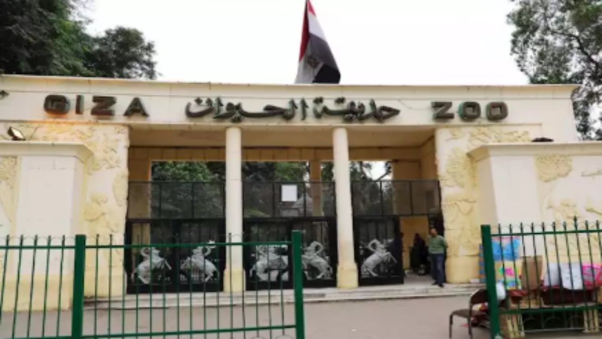 آخر كلام.. وزير الزراعة يُعلن رسميًا موعد افتتاح حديقة الحيوان في ثوبها الجديد