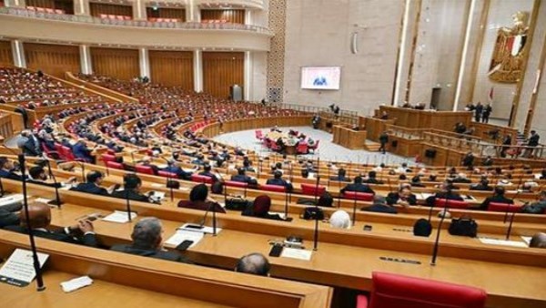 مجلس النواب في قلب الأحداث: اللجان النوعية تسعى لتطوير الصحة والاقتصاد وحماية الأطفال