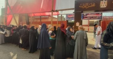 المصريون يسطرون ملحمة تاريخية جديدة فى انتخابات مجلس النواب..