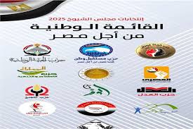 إعلان أسماء مرشحي القائمة الوطنية لانتخابات مجلس الشيوخ 2025 عن قطاع شمال ووسط وجنوب الصعيد
