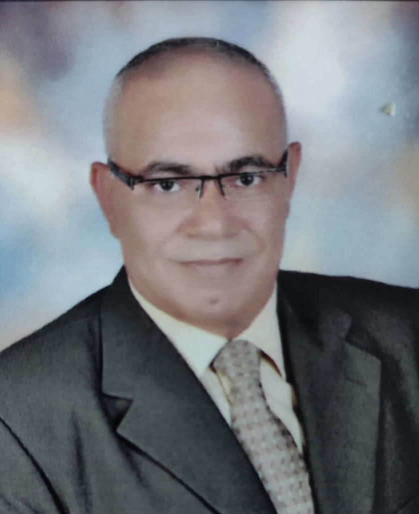 عندما يتحول الغباء إلى موقف سياسي.. قراءة في هجوم المعارضين على المتحف المصري الكبير