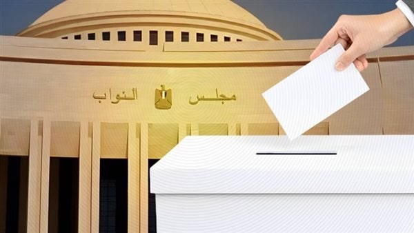 أول 3 سيدات يحسمن مقاعد الفردي في انتخابات النواب 2025 بمحافظة الشرقية