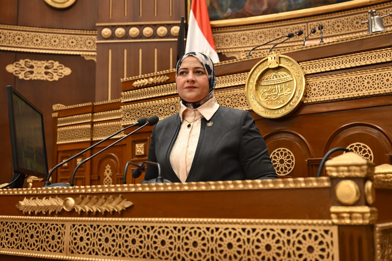 أمين سر لجنة الطاقة والبيئة بالشيوخ: لا تهاون مع سرقة التيار الكهربائي… وعلى الحكومة ضمان خدمة كهرباء مستقرة وعادلة
