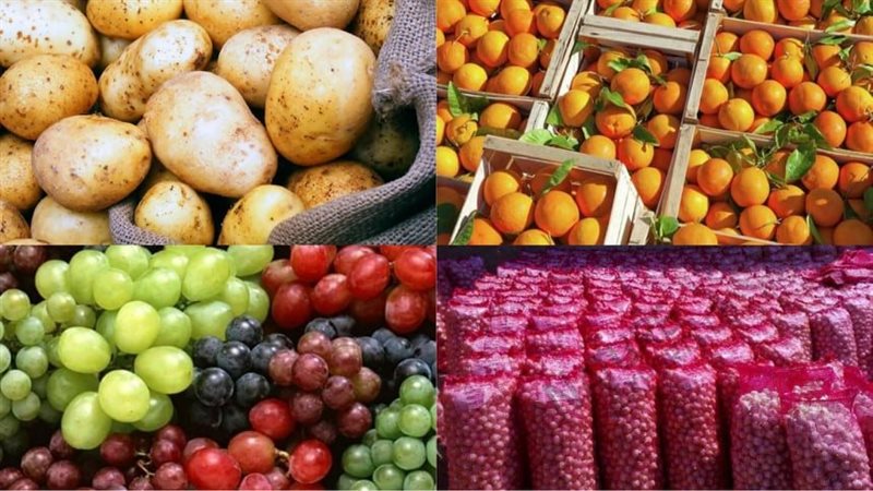 ا الإعلامي للوزراء: قفزة نوعية بقطاع الصناعات الغذائية رغم التوترات العالمية والإقليمية