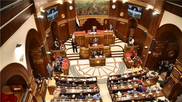 القضاء الإداري يرفض 25 طعنًا لمرشحين في انتخابات الشيوخ 2025