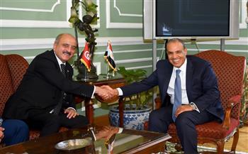 مصر تؤكد دعمها لوحدة الأراضي اليمنية خلال لقاء وزيري الخارجية