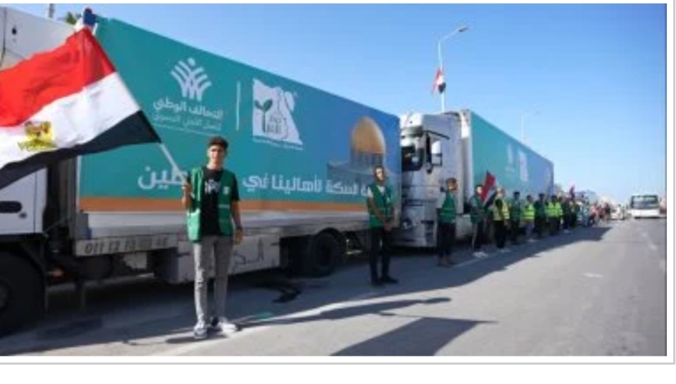 حنان وجدي: مصر ستظل الحصن المنيع للقضية الفلسطينية رغم حملات التشويه