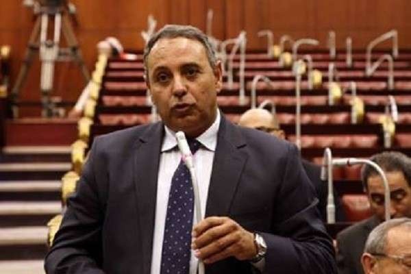 رئيس حزب إرادة جيل: جميع الأحزاب تدعم الوطن رغم اختلاف الرؤى