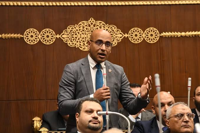 علاء مصطفى: التنسيقية حولت العمل البرلماني إلى منظومة حوكمة إلكترونية