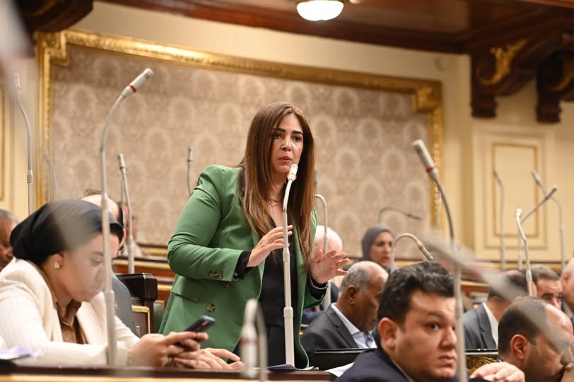 أميرة العادلي: تعديلات قانون التعليم بصورتها الأخيرة بها إيجابيات مثل المسارات المتعددة وتطوير التعليم الفني