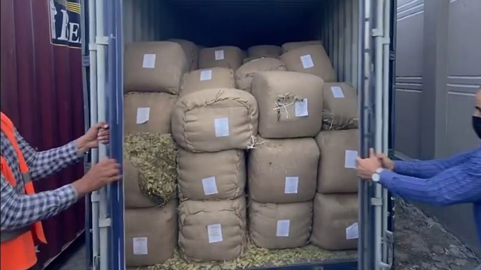 حبس وغرامة 100 ألف جنيه.. عقوبة تهريب البضائع وفق قانون الجمارك