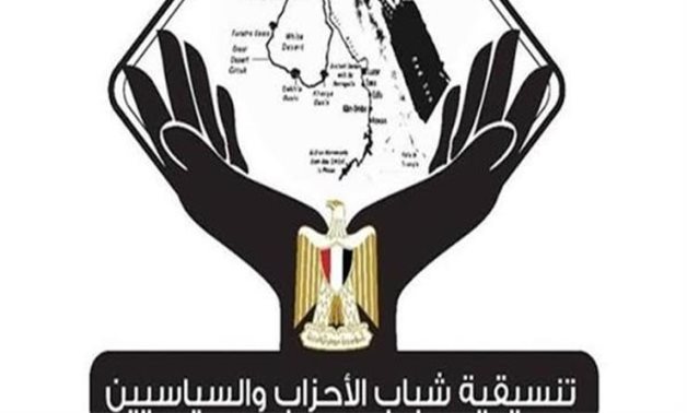 تنسيقية الشباب: إقبال كثيف وانتظام تصويت المصريين بالخارج في انتخابات النواب
