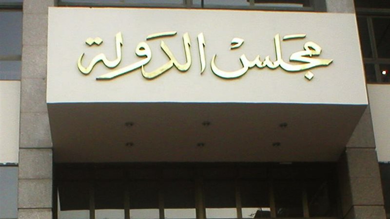 يومان على الفصل النهائي في 48 طعنًا على نتائج 30 دائرة بانتخابات مجلس النواب