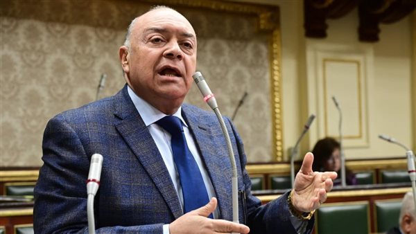 حماية المنافسة وتوافر السلع بأسعار مناسبة.. أهمية مشروع القانون
