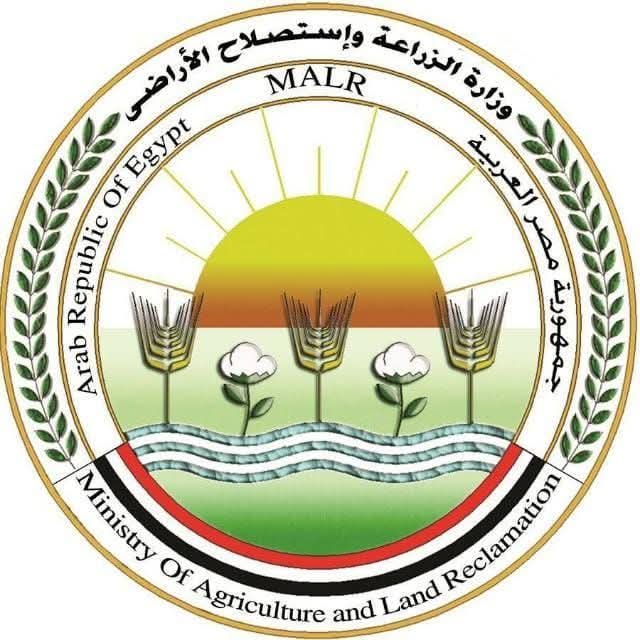الزراعة" تنفي رصد جراد صحراوي بـ "بئر العبد" في سيناء