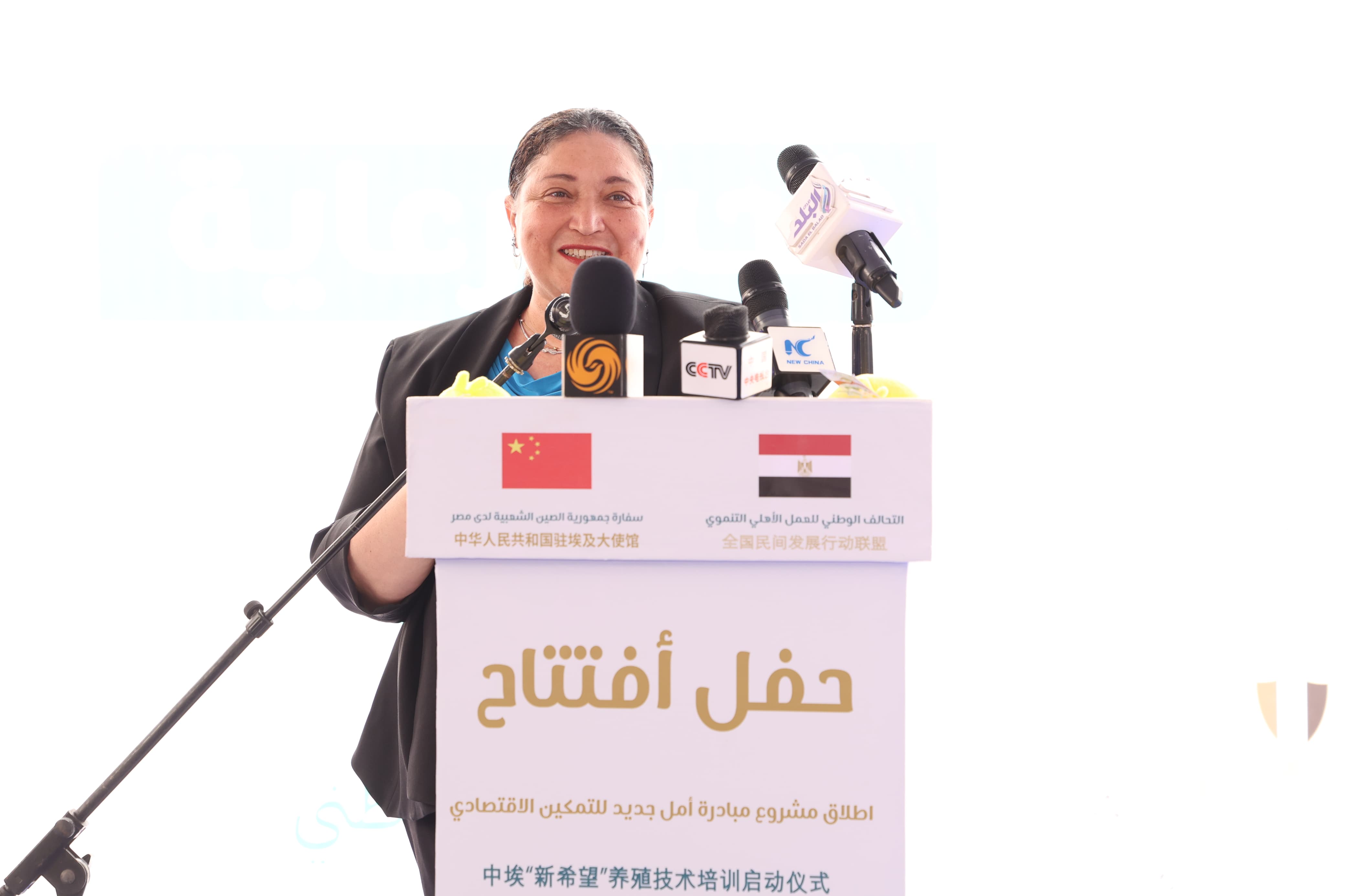 التضامن تطلق 'أمل جديد'، خطوة استراتيجية لتمكين الأسر الأكثر احتياجًا