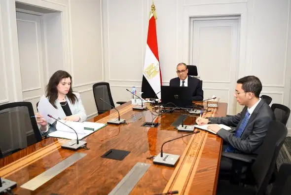 وزير الخارجية يشدد على أهمية مشاركة المصريين بالخارج في الاستحقاقات الانتخابية المقبلة