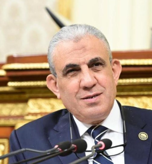رئيس قوي عاملة النواب يهنئ الرئيس السيسي بذكرى ثورة 30 يونيو