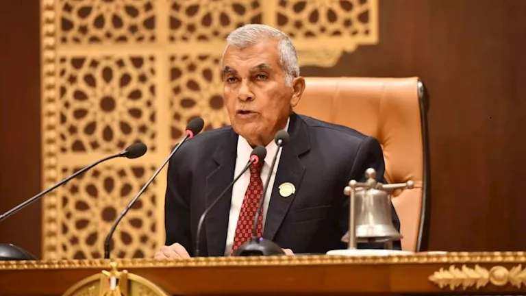 مجلس الشيوخ يوافق مبدئيًا على تعديل قانون الكهرباء لتشديد العقوبات وتنظيم التصالح